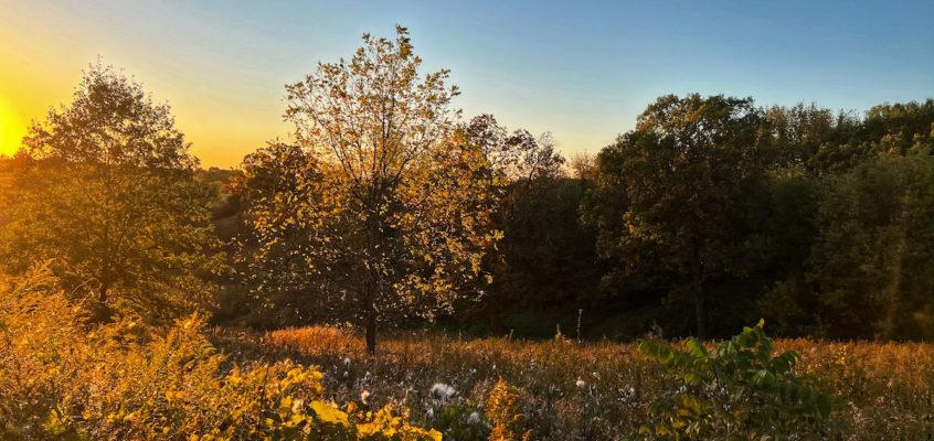 The fire of autumn